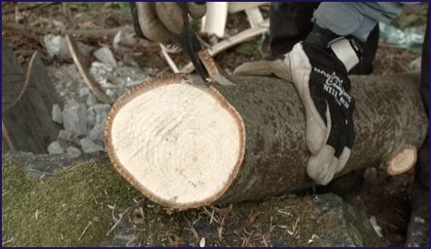Making Lime Bast Rope | The Kid Should See This