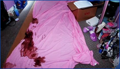 Unraveling The Mystery Of Gypsy Rose Blanchard: The Case Behind The Murder Photos