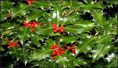 Unveiling The Secrets Behind OnlyFans Viral Videos